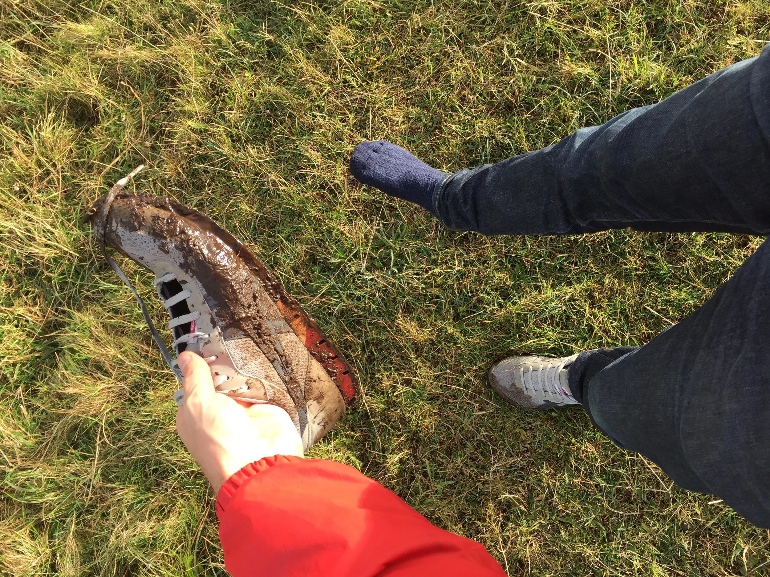 FROSSES TREES, DARK HEDGES, DUNSEVERICK
