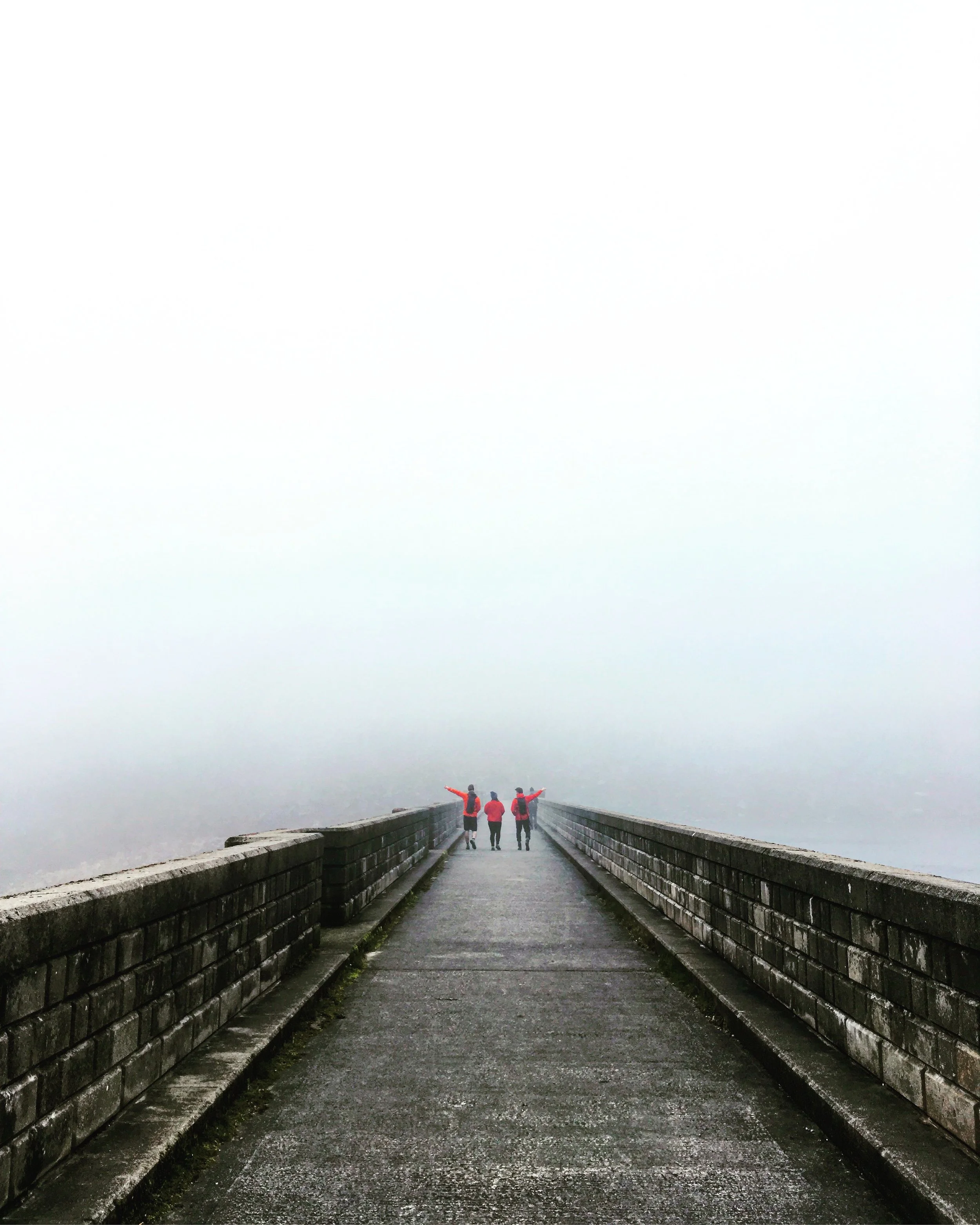 RESERVOIR FOGS
