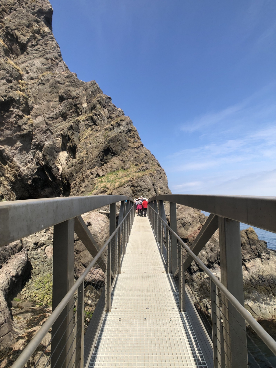 NI_EXPLORER_the_gobbins_#meadventures_northern_ireland (10).jpg