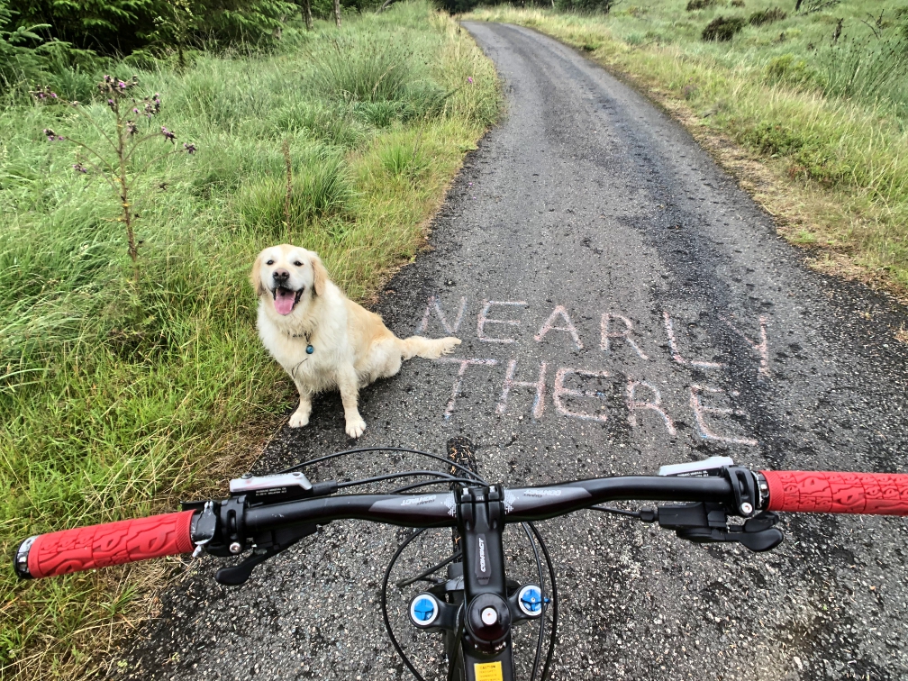 ni_explorer_davagh_forest_mountain_biking_northern_ireland (18).jpg