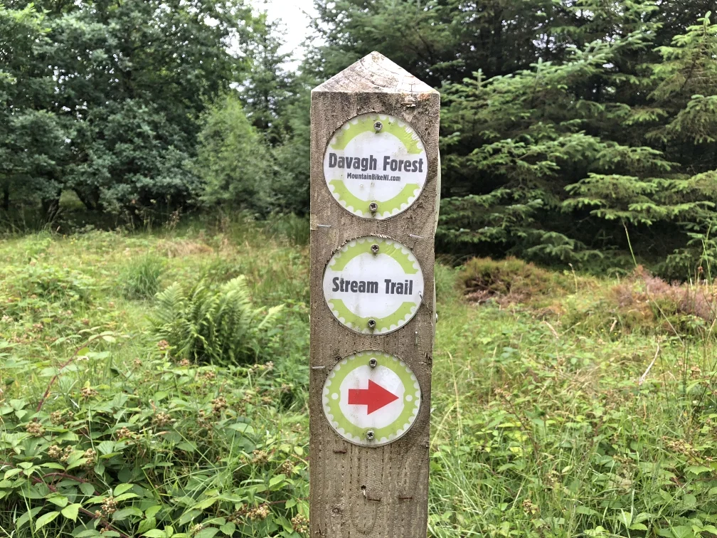 ni_explorer_davagh_forest_mountain_biking_northern_ireland (28).jpg