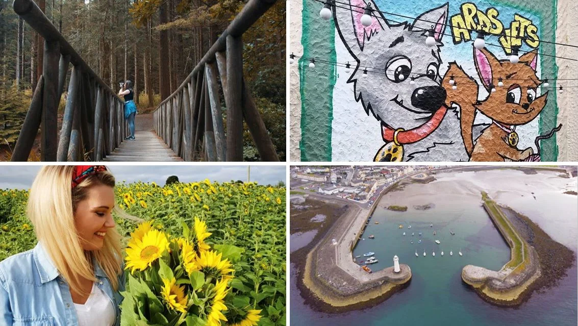 FAN PIC FRIDAY 17.08.18