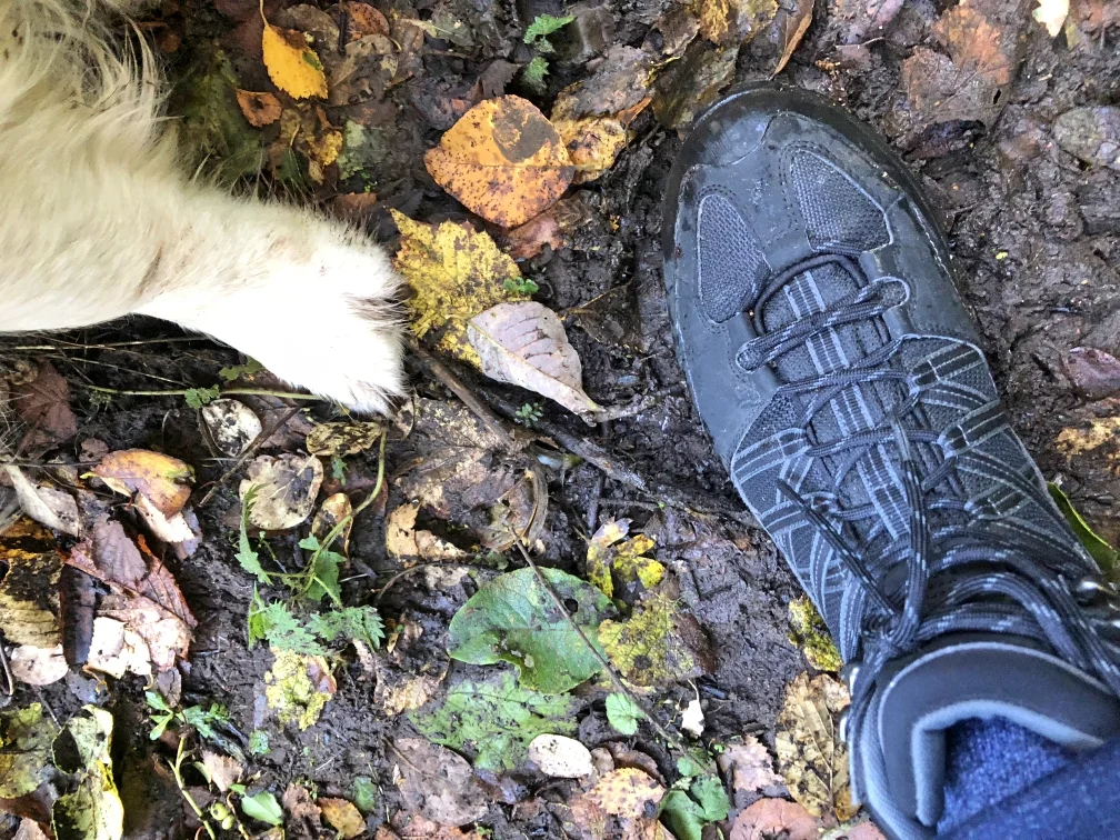 straidkilly_trail_glenarm_ni_explorer_meadventures (17).jpg