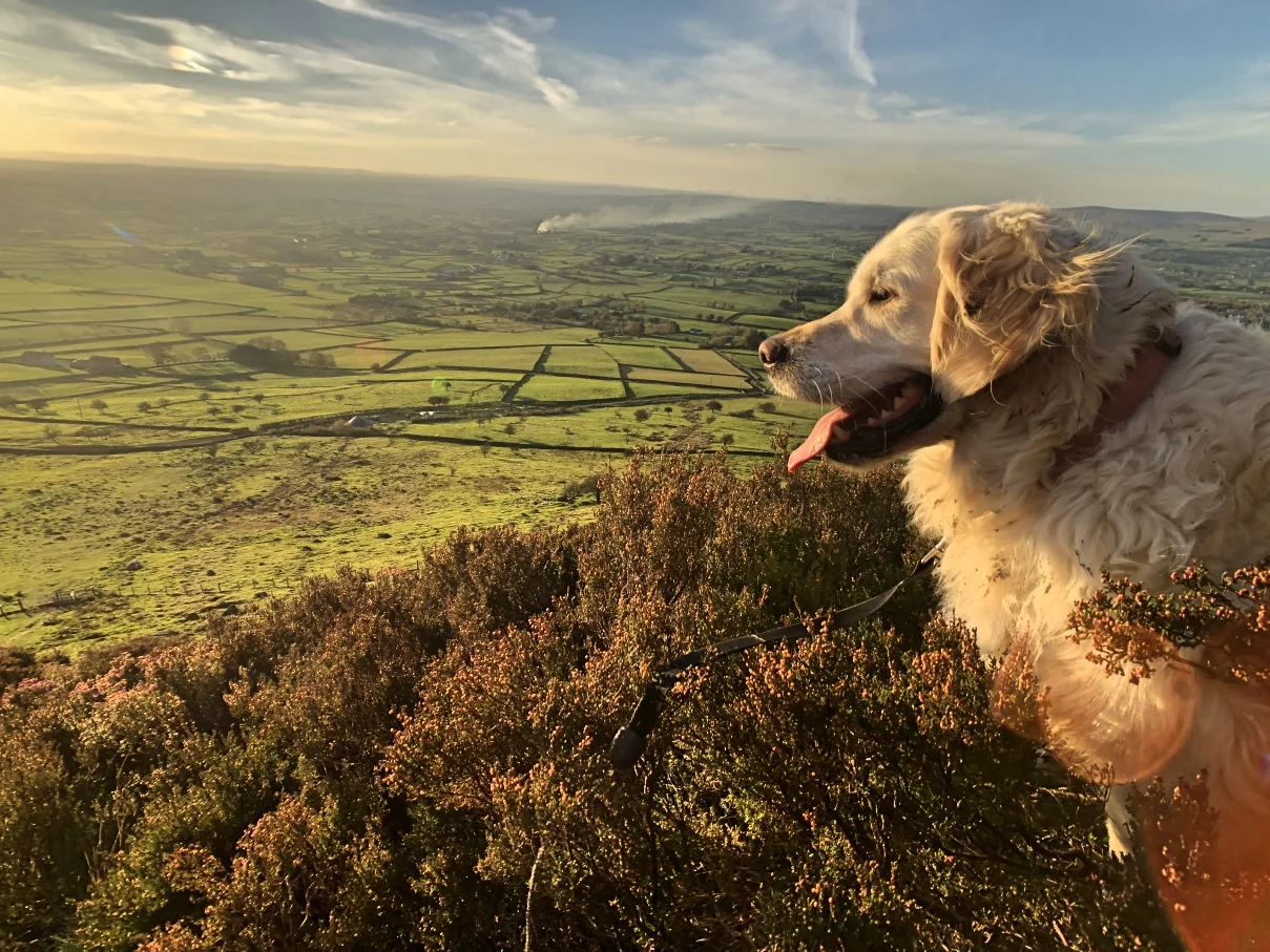 SLEMISH_MOUNTAIN_NORTHERN_IRELAND_NI_EXPLORER_THINGS_TO_DO (10).jpg