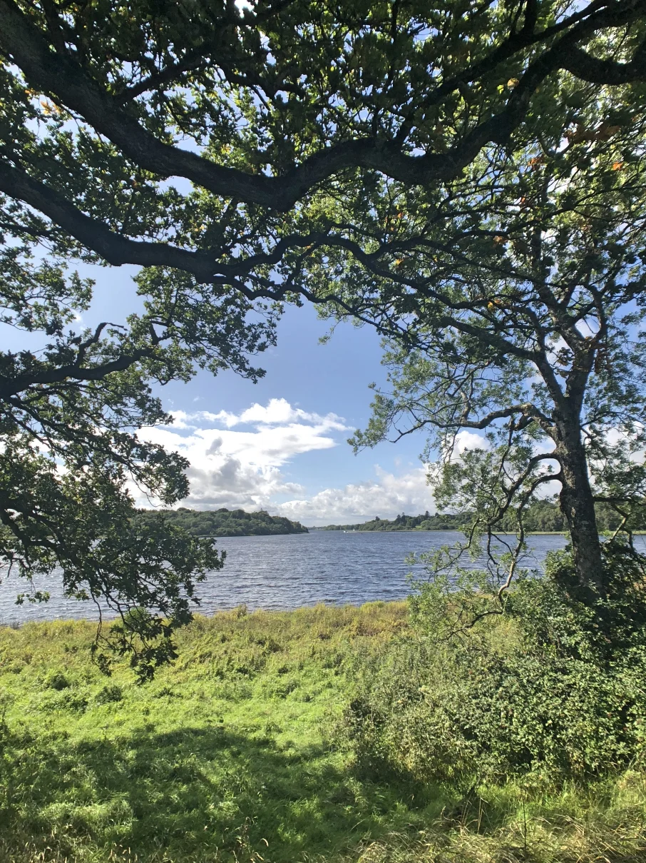 crom_castle_national_trust_fermanagh_northern_ireland_ni_explorer (10).jpg