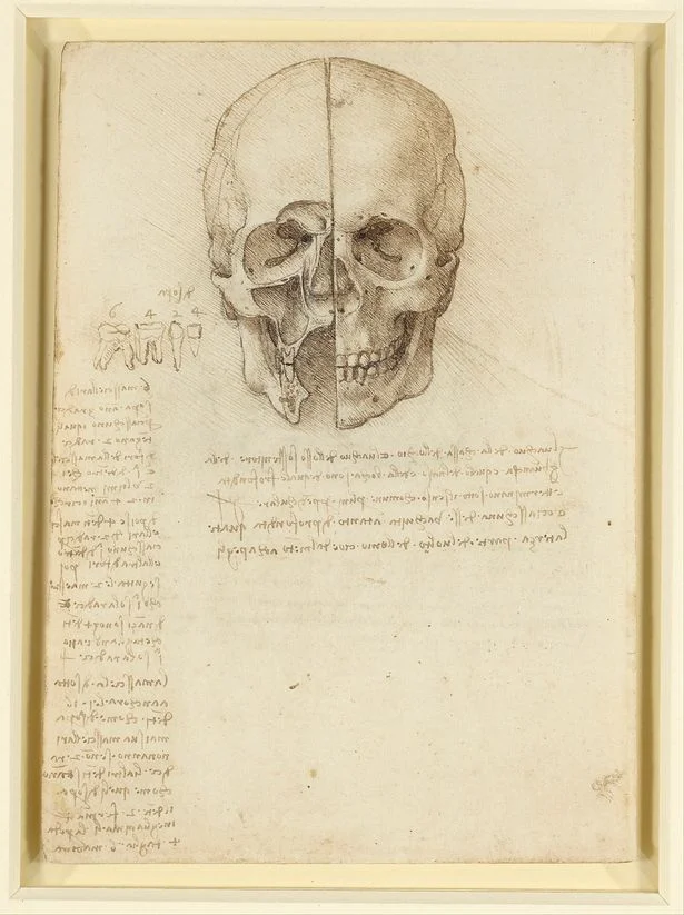 The Skull Sectioned (1489) Royal Collection Trust/© Her Majesty Queen Elizabeth II 2018