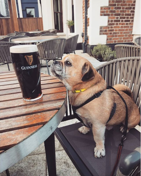 FAN PIC FRIDAY 15 MARCH 2019