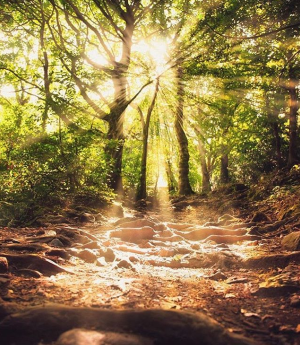 FAN PIC FRIDAY 05 APRIL 2019