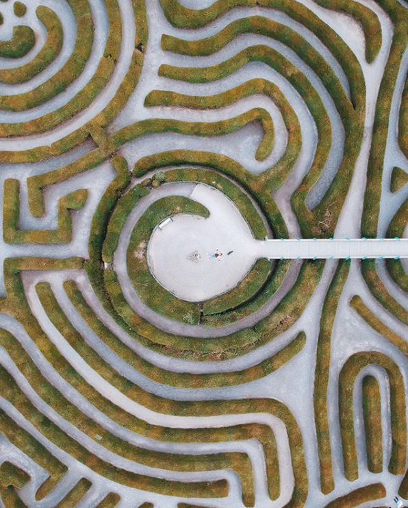 FAN PIC FRIDAY 12 APRIL 2019