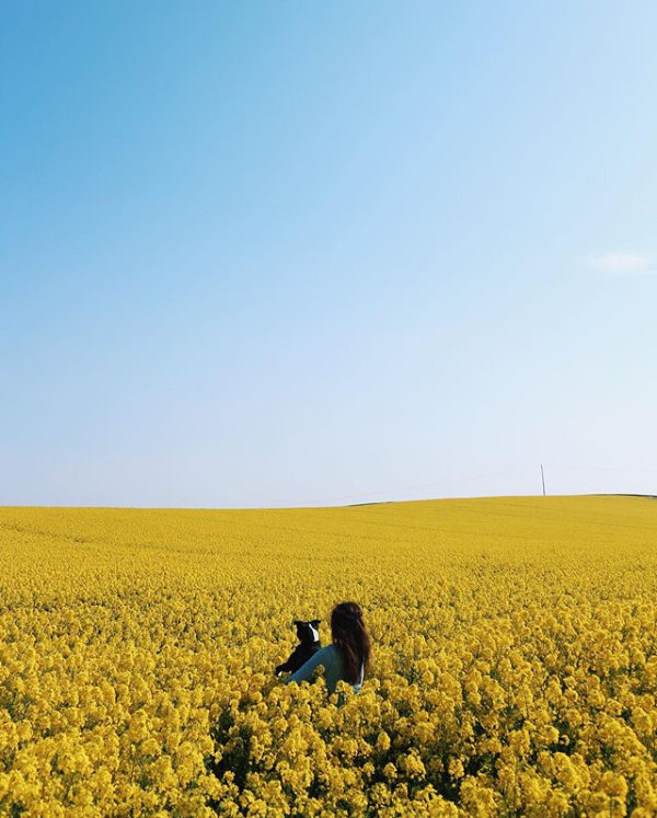 FAN PIC FRIDAY 26 APRIL 2019