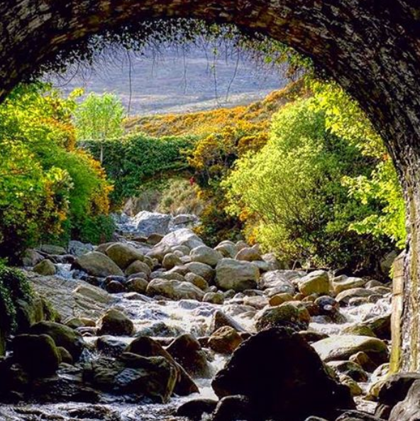 FAN PIC FRIDAY 17 MAY 2019