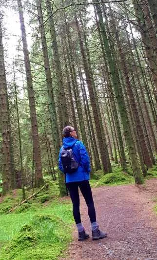 davagh-forest-tyrone-walk-northern-ireland11.jpg