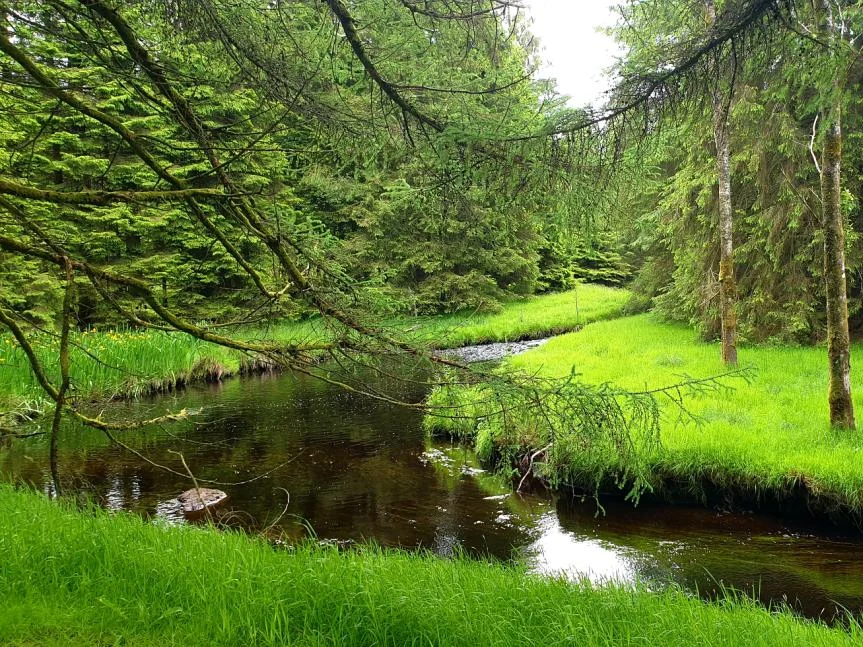 davagh-forest-walking-trail-northern-ireland-sperrins.jpg