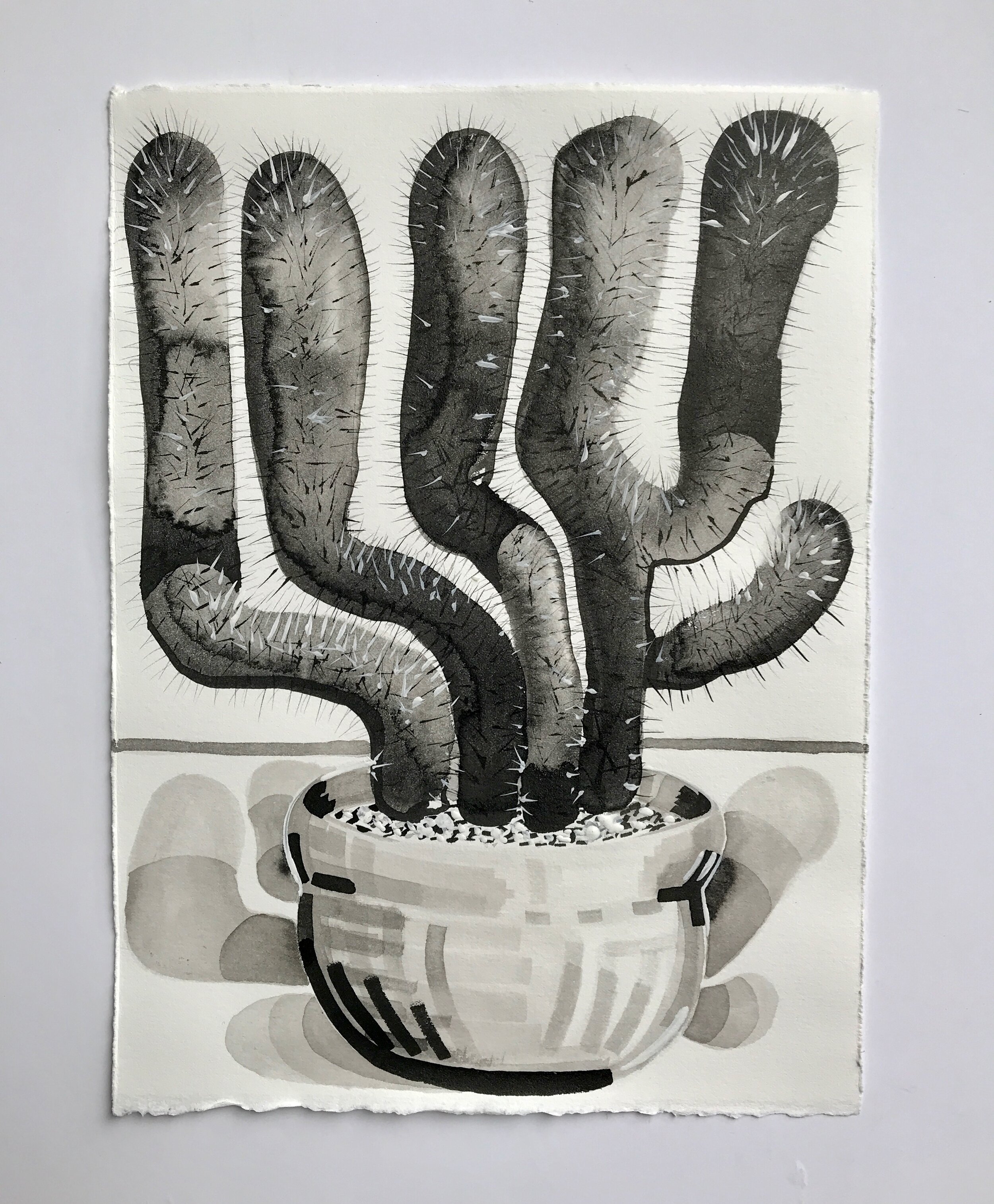 Untitled (memory of a cactus), 2018, ink and gesso on paper, 15 x 11 inches