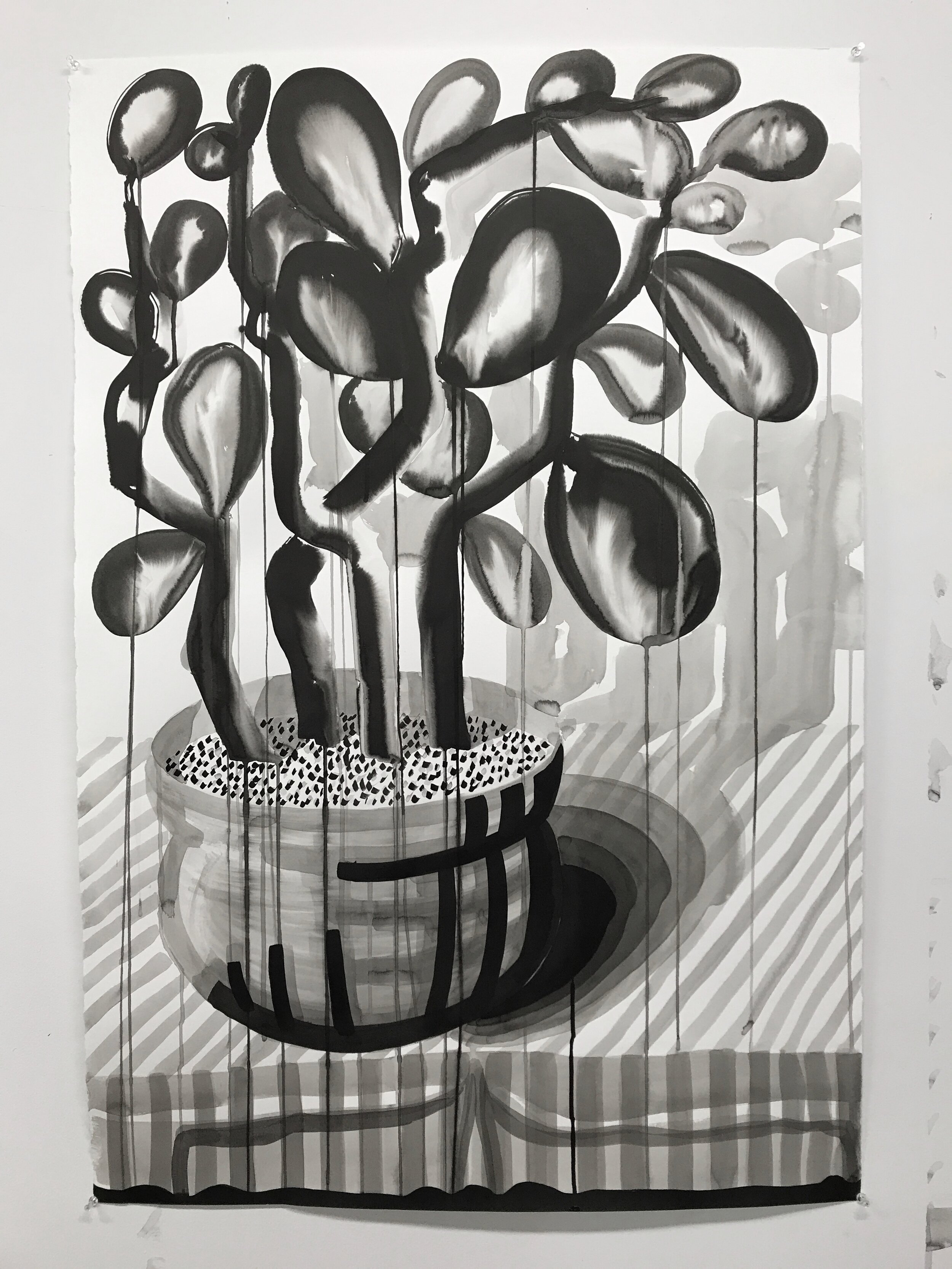 Untitled (memory of a jade plant I killed), ink on paper 44 x 30 inches