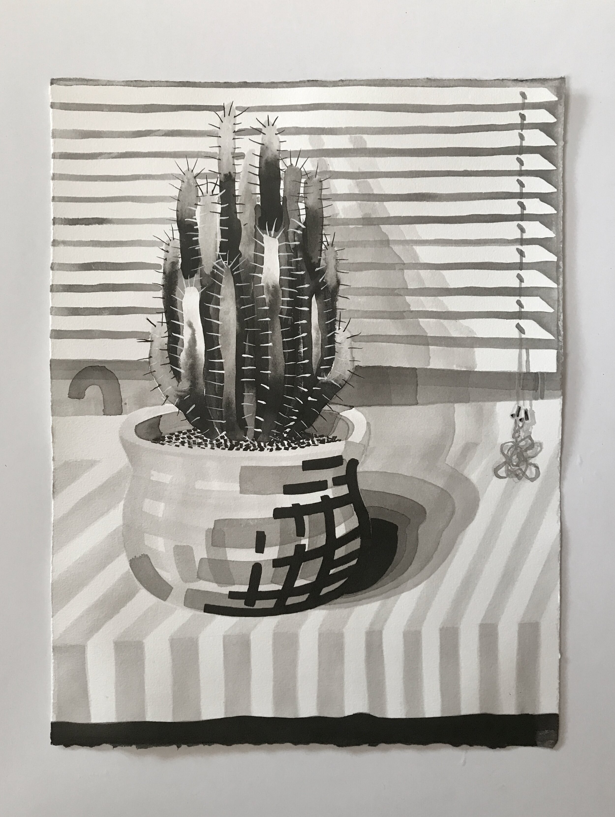 Untitled (memory of a cactus considering its options), 2018, ink and gesso on paper, 17.5 x 13.25 inches