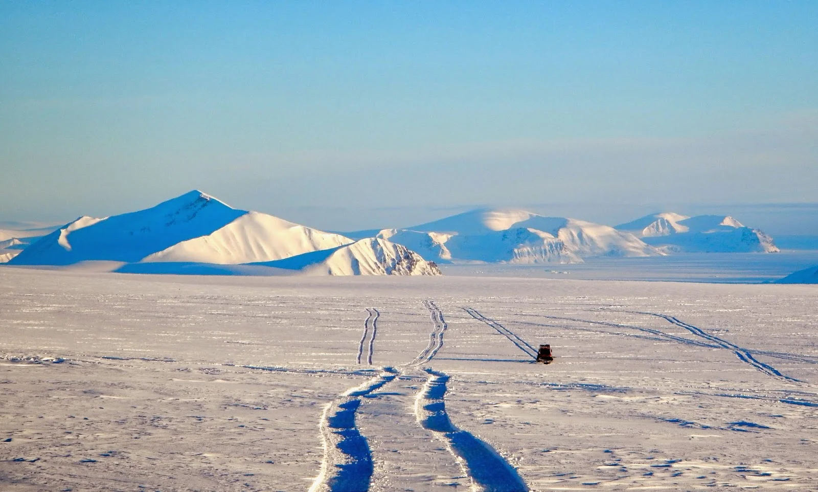  Photo Credit:&nbsp;Forrest McCarthy 