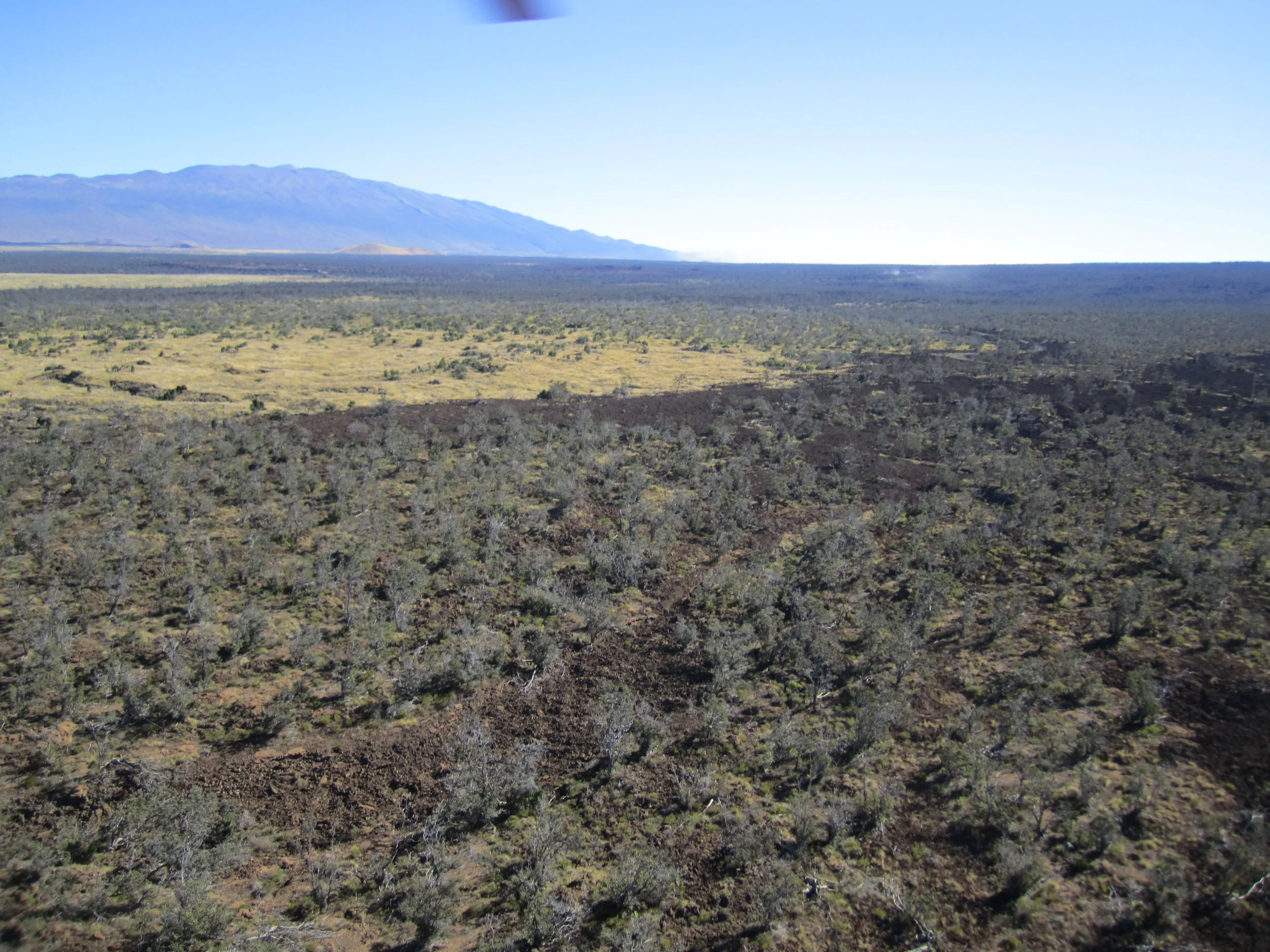 Pohakuloa 2015 042.JPG