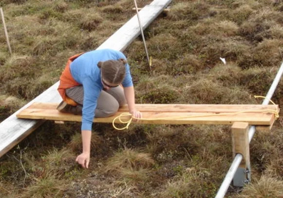 SlidingPlank