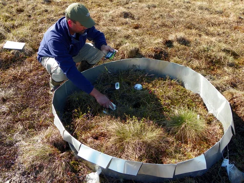 Measuring soil moisture and temperature