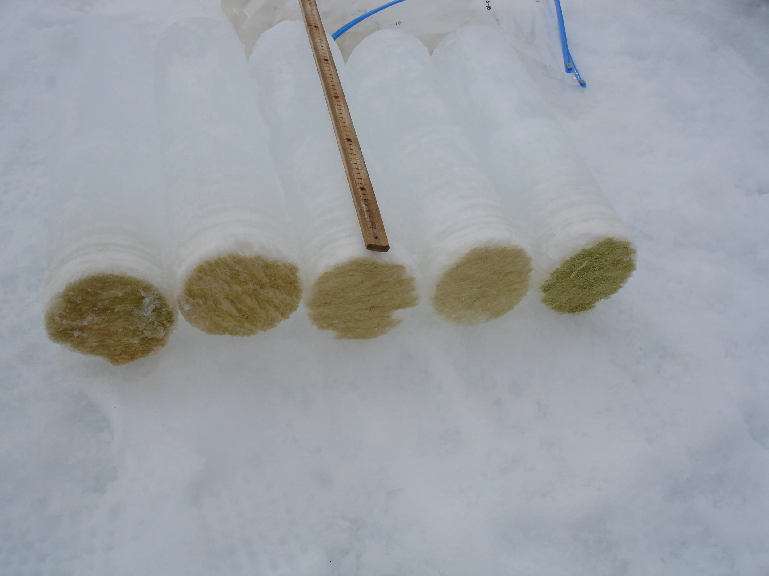 Ice-Cores.jpg
