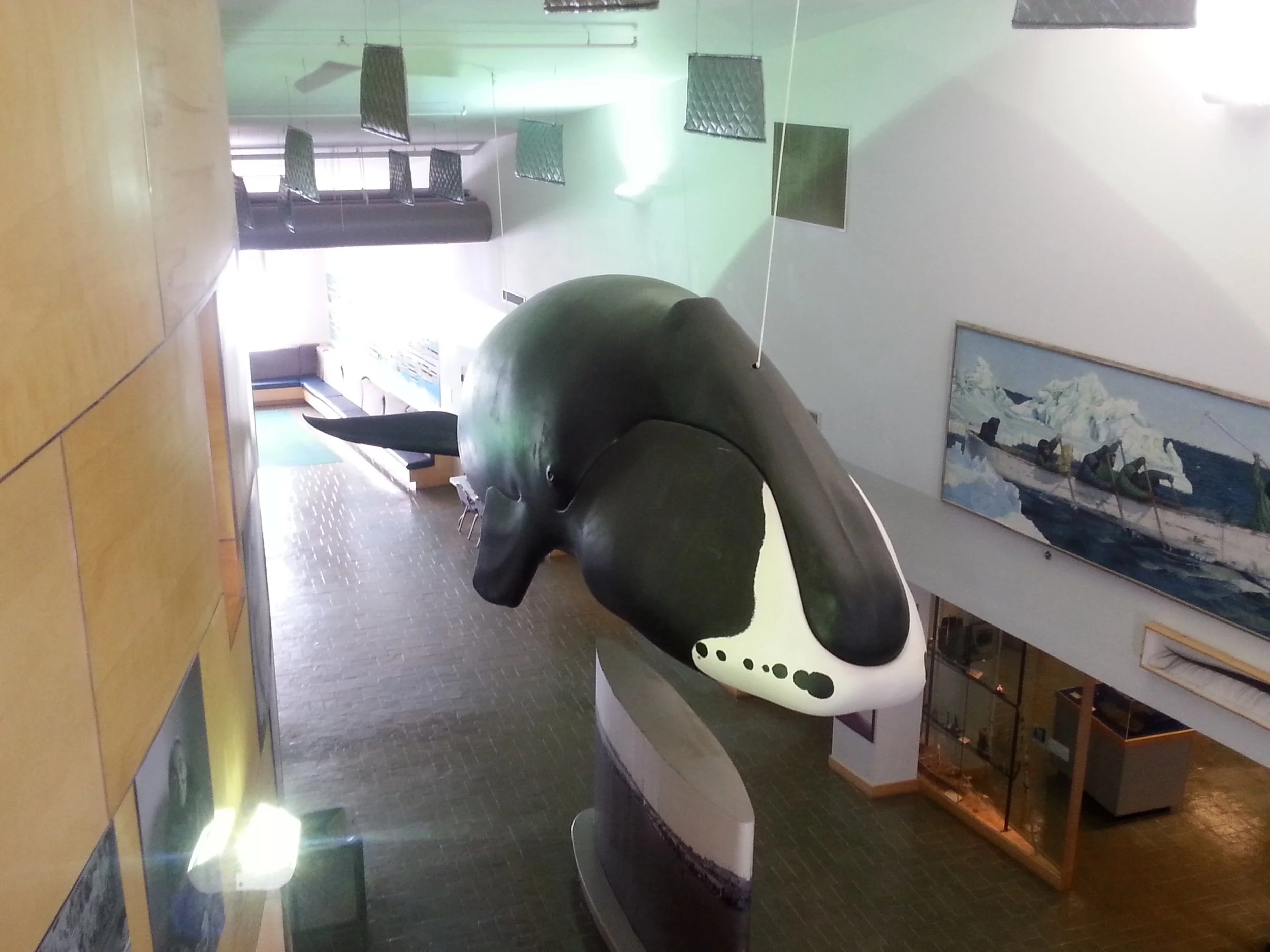 Museum-whale.jpg