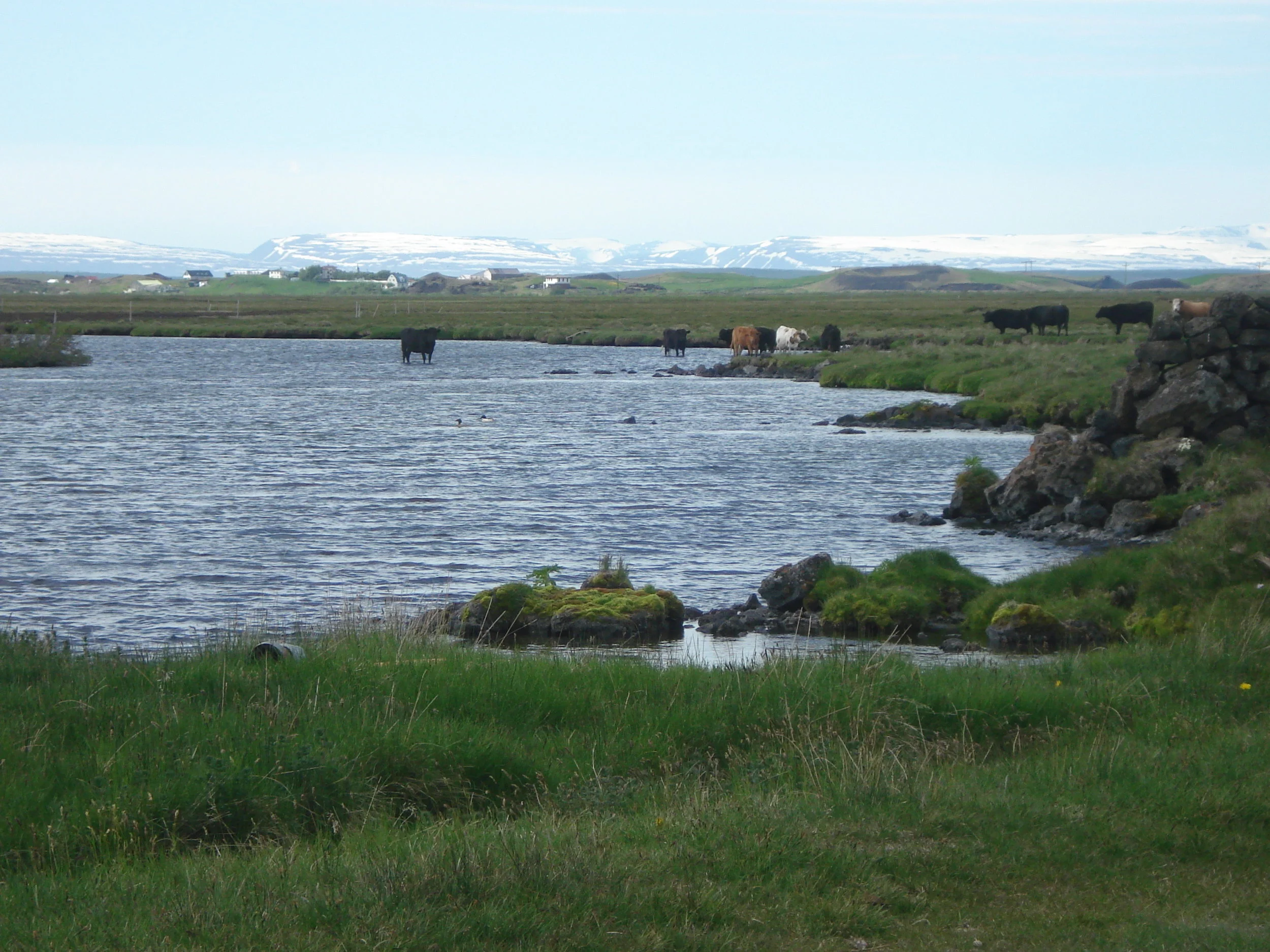 A landscape scene from the Myvatn area. Photo: Astrid Ogilvie