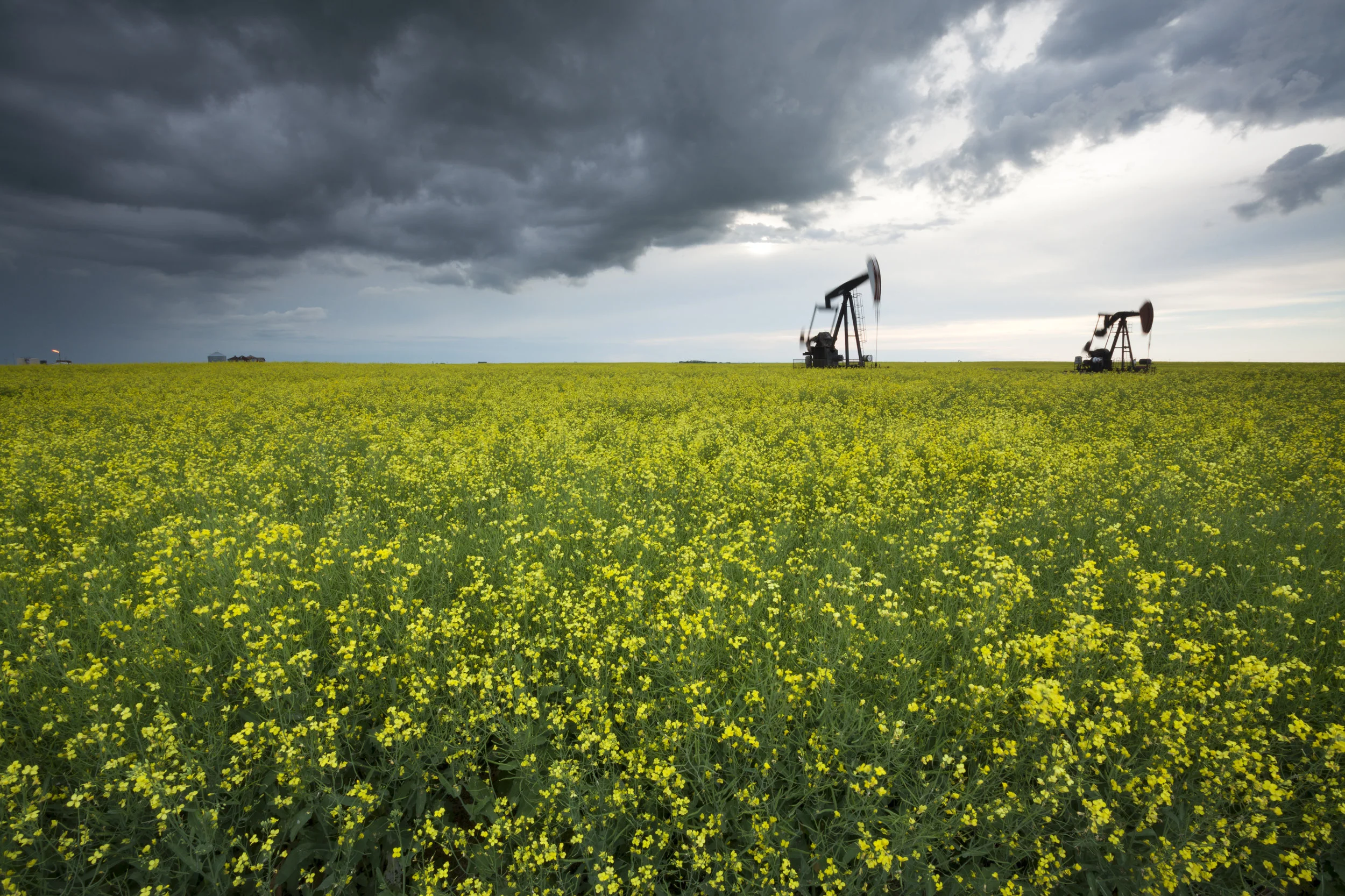 OIL..