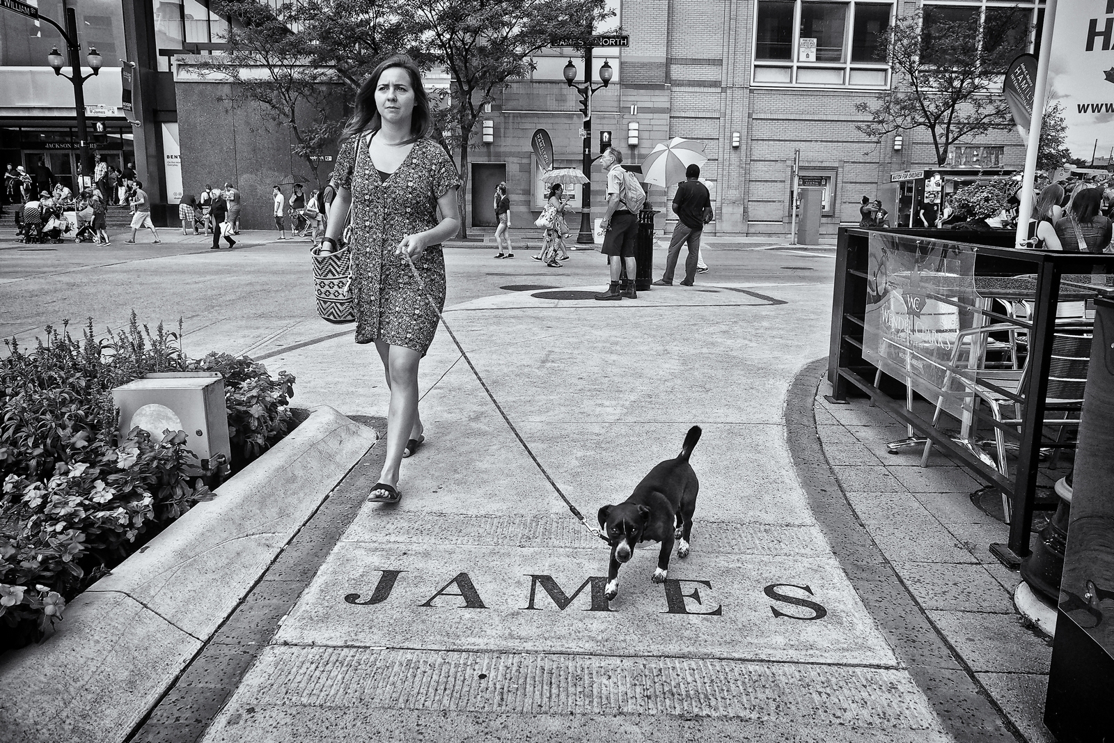 Street Supercrawl September 10 2016 15.jpg