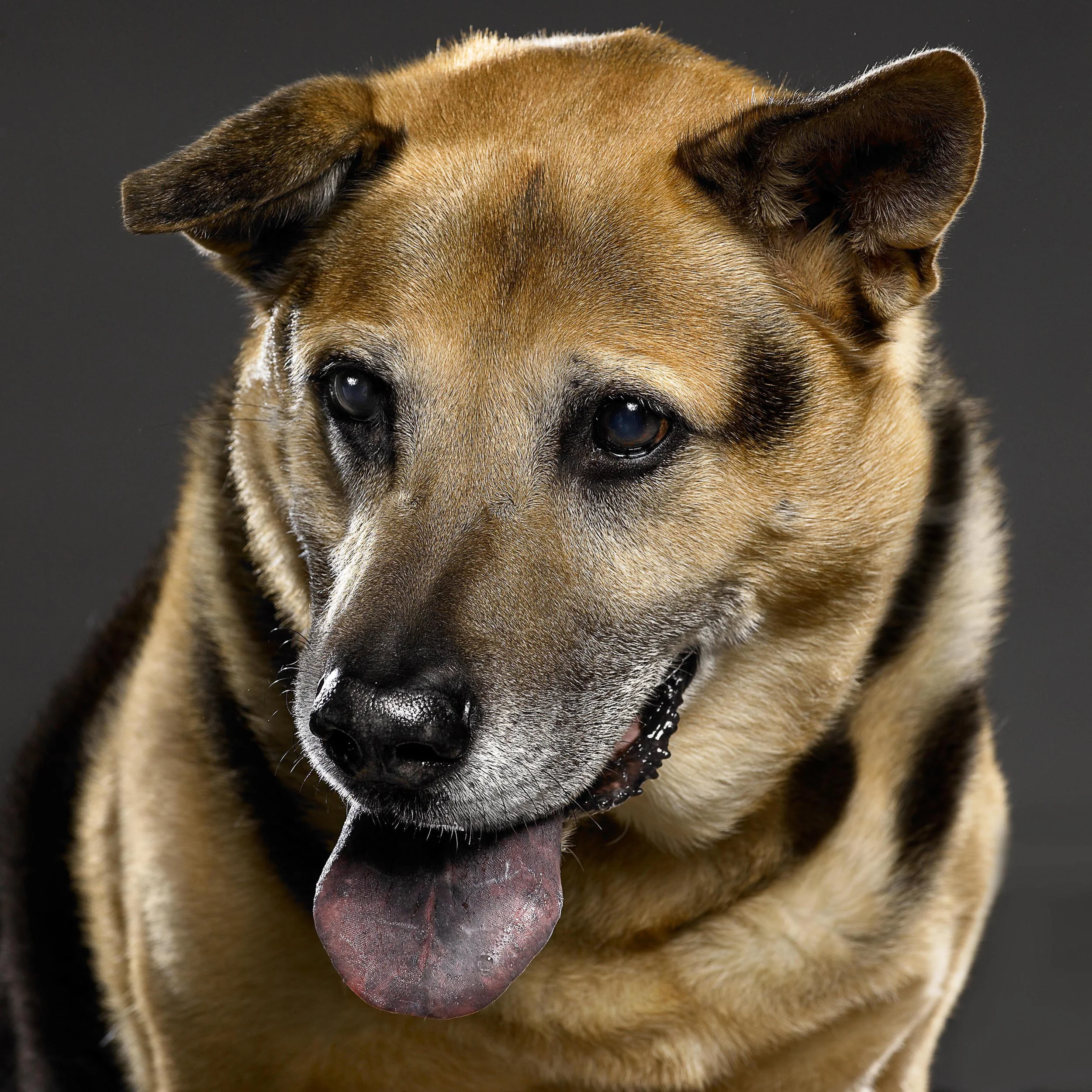 buddy.jpg