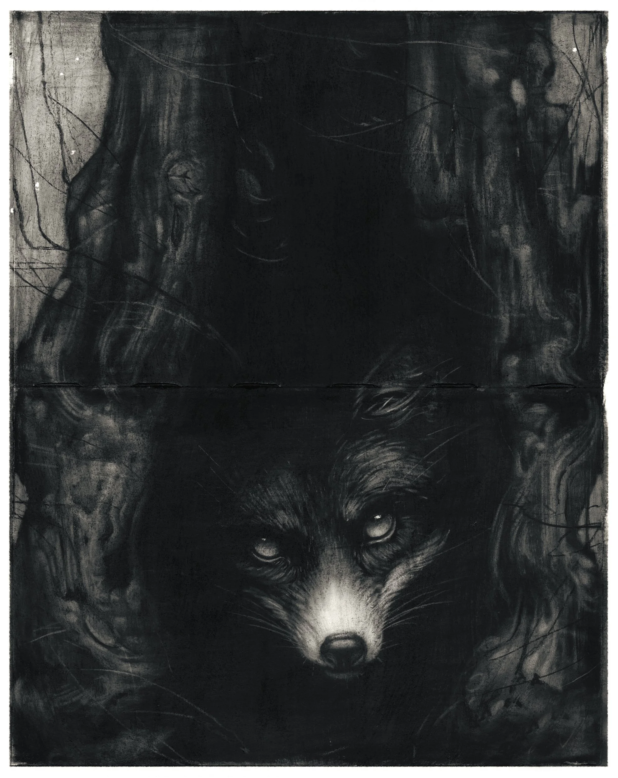 Penumbra