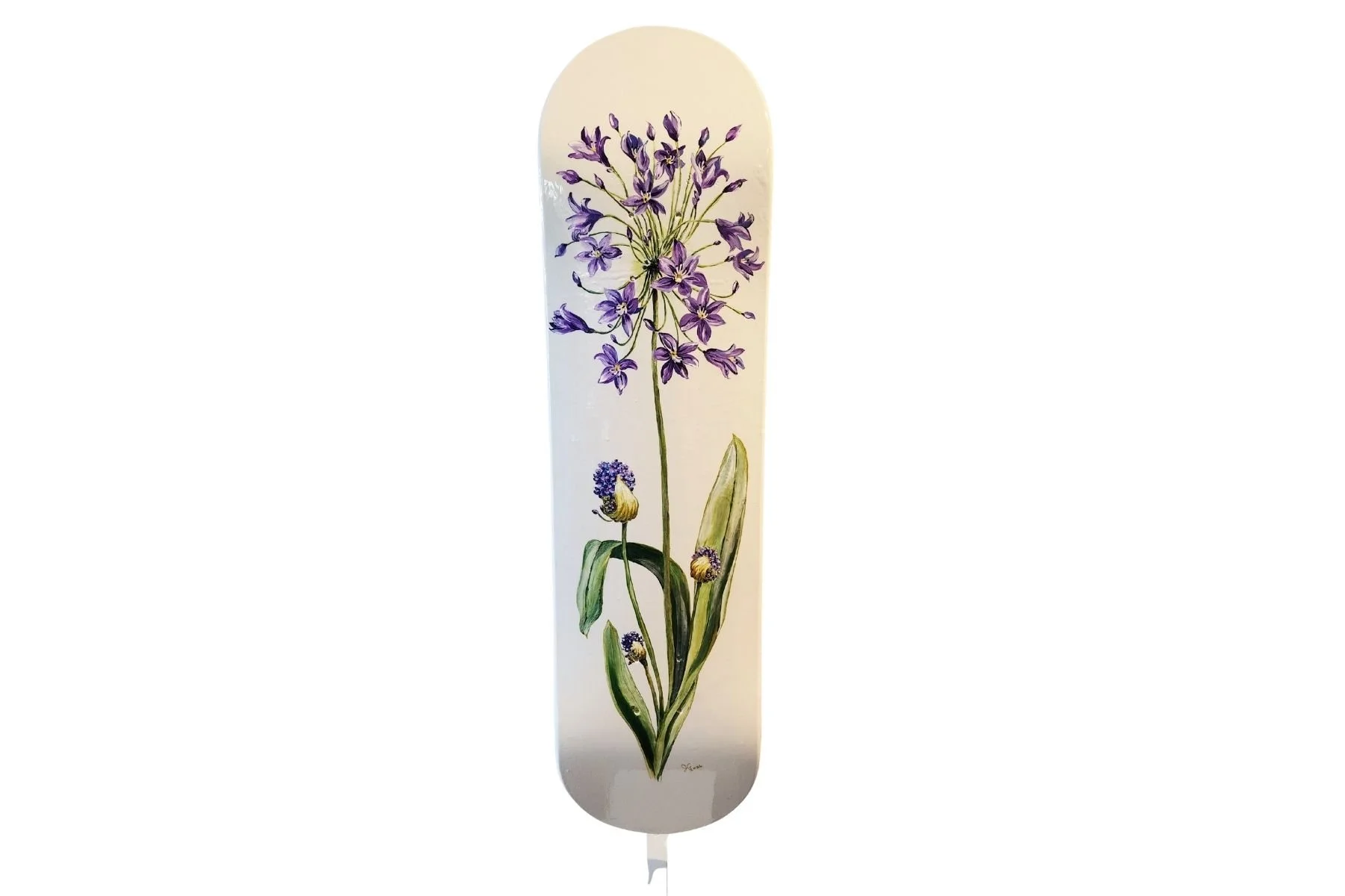 #91 Agapanthus