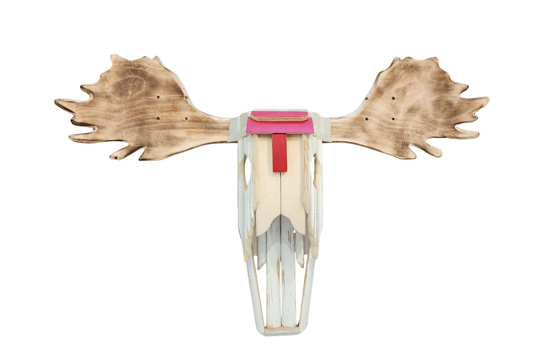 #57 Moose Skull