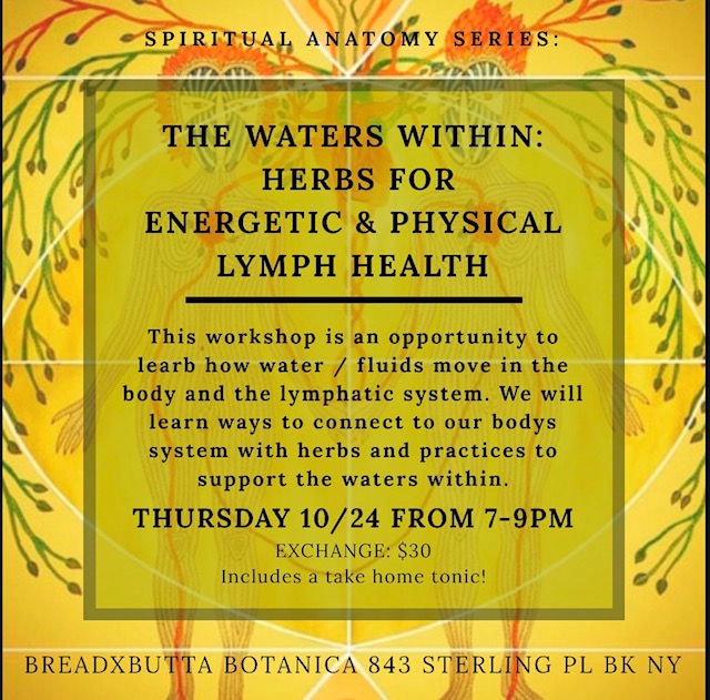 The Waters Within: Herbs for Energetic & Physical Lymph Health