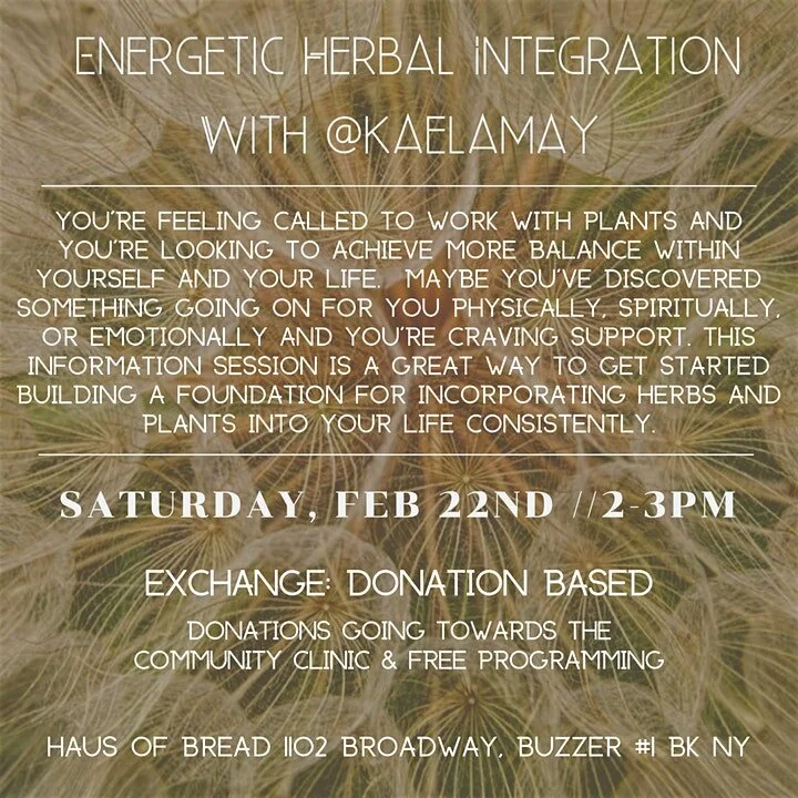 Energetic Herbal Integration ((donation based))