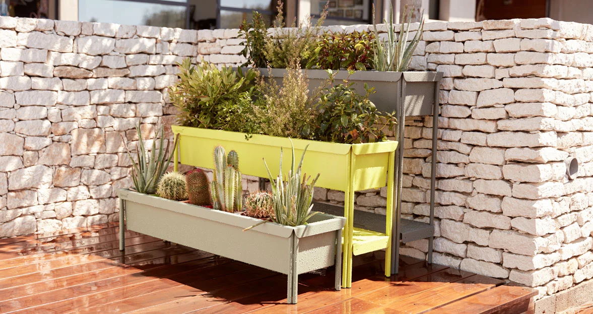 Terrazza