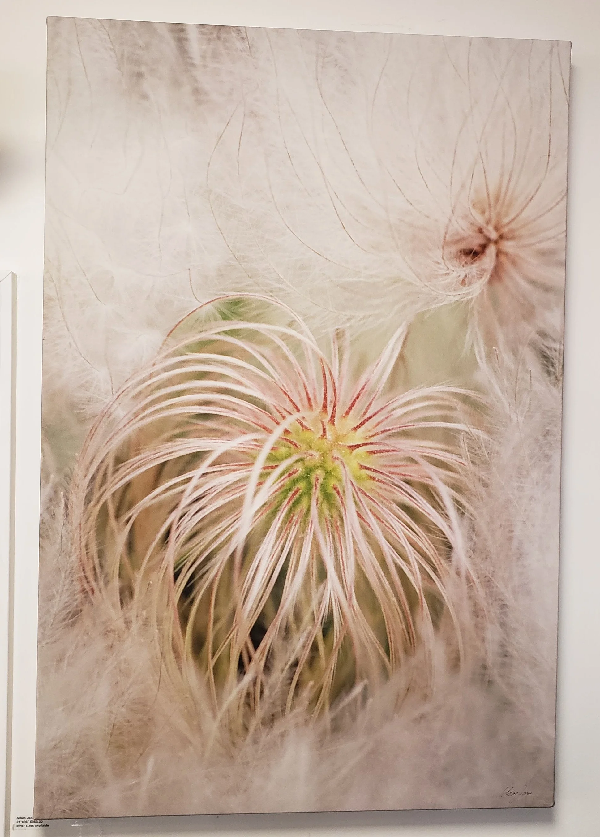 Giclee Print