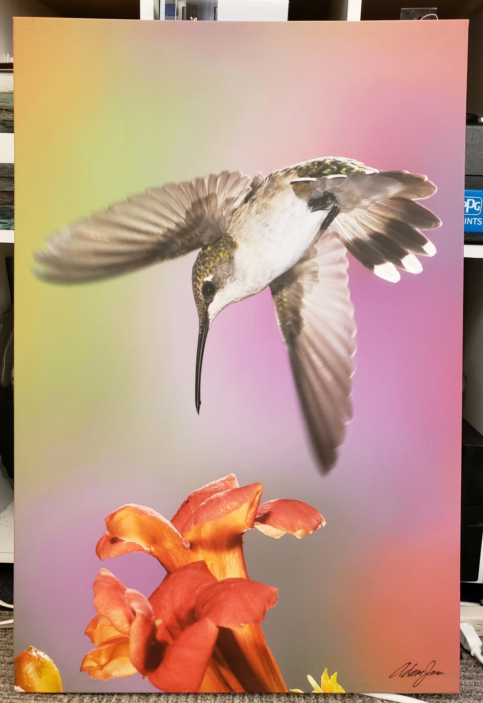 Giclee Humming Bird Print
