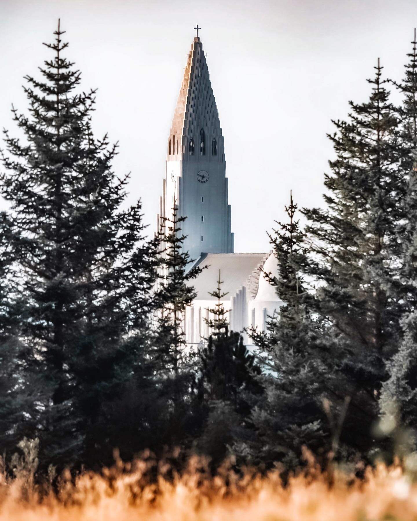 We love our beautiful Hallgrimskirkja 😍 
Have you been? 🇮🇸
📸: @jarvismj
.
.
.
.
.
.
.
#church #perlan #hallgrimskirkja #kirkja #cathedral #reykjavik #reykjavikiceland #reykjav&iacute;k #iceland #icelandtravel #icelandtrip #icelandic #eastwesticel