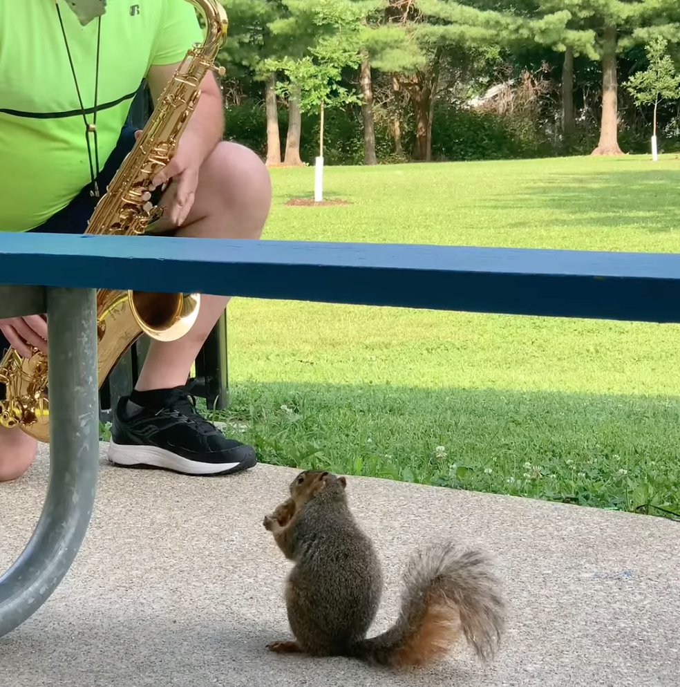 OC music professor goes viral with the help of Saxy the squirrel