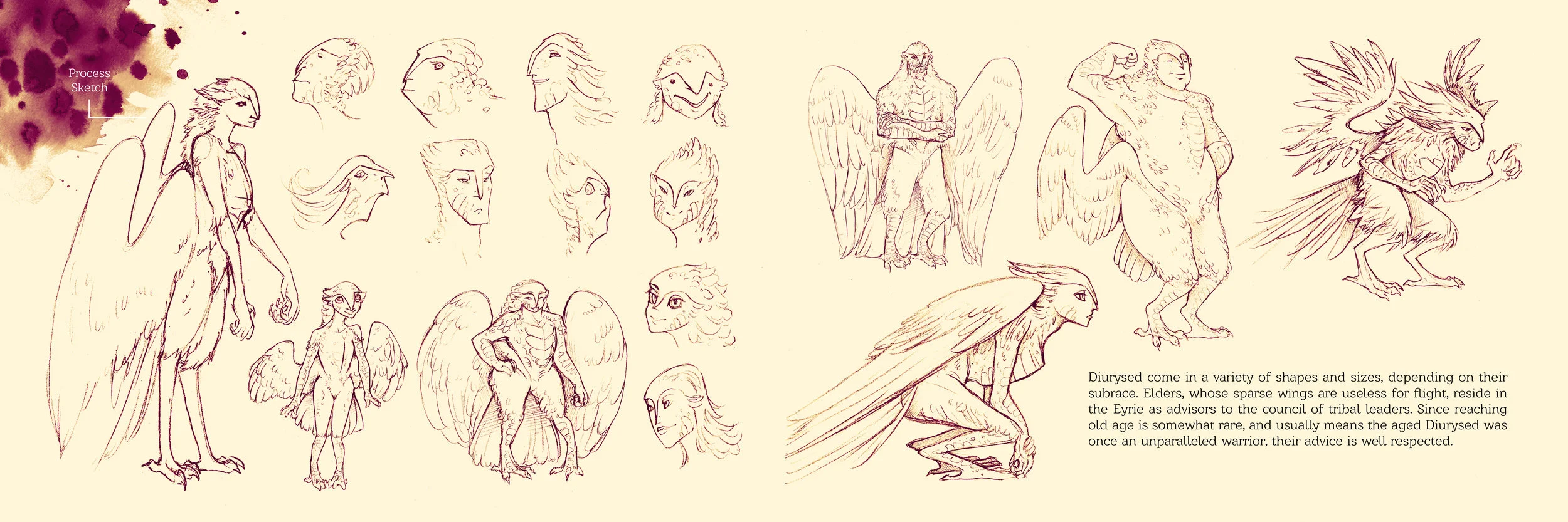birds 3.jpg