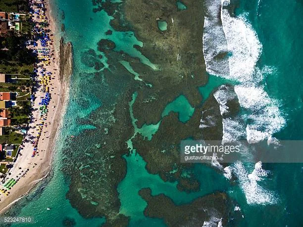 Photo by gustavofrazao/iStock / Getty Images