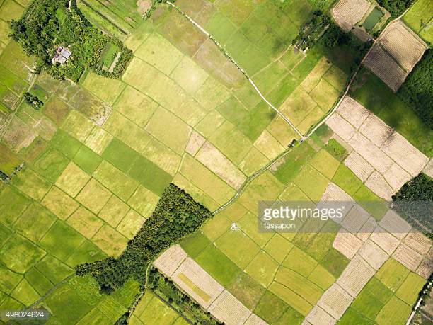 Photo by tassapon/iStock / Getty Images