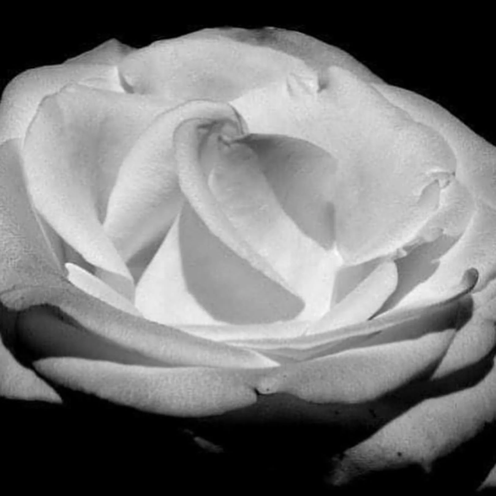 Happy Weekend! Sending love &amp; hugs to everyone.❤️