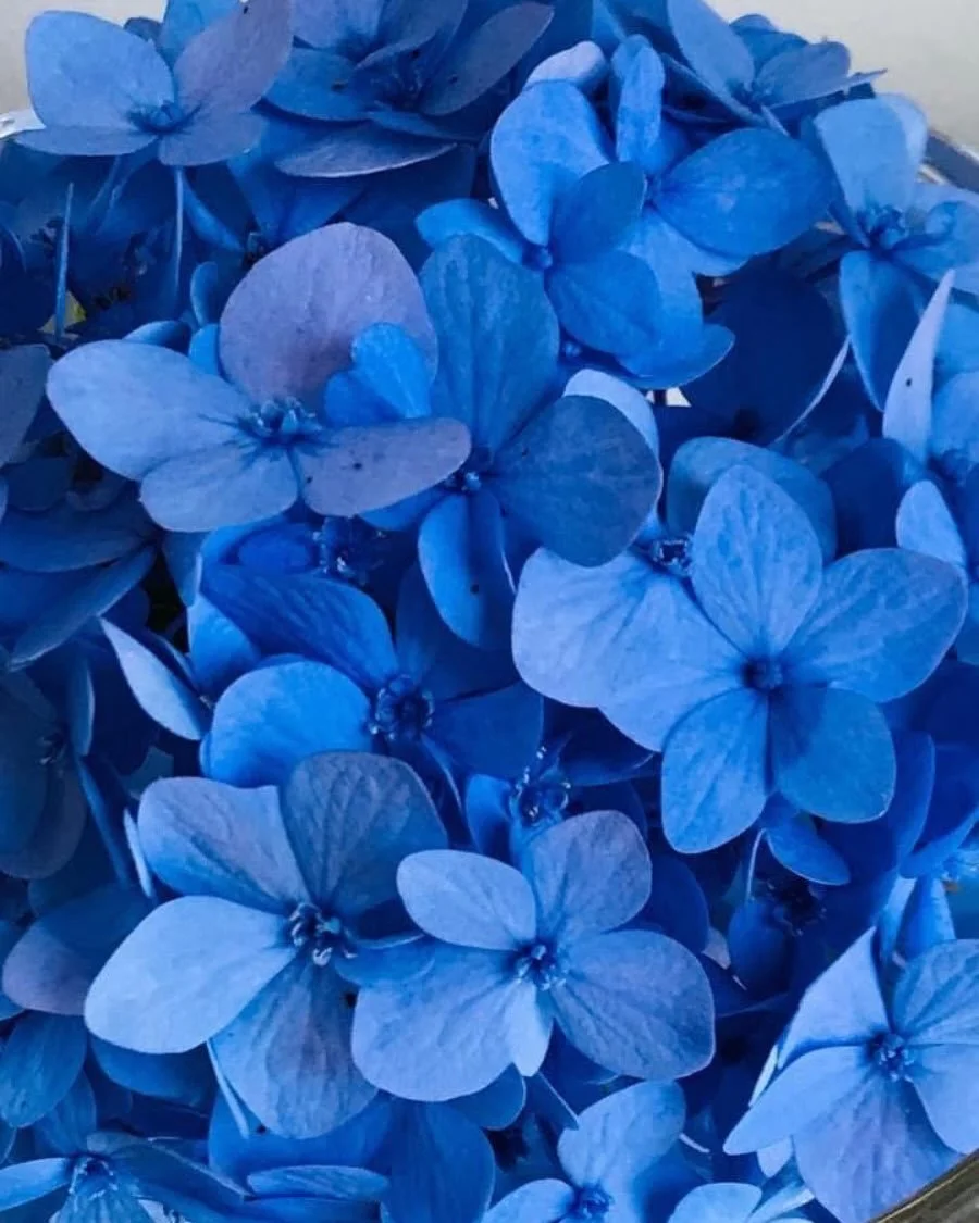 Happy First Day of Spring to Everyone!! 🌺#taraashdesign