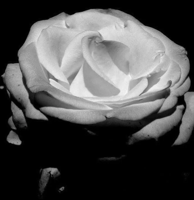 Wishing everyone a wonderful Mother&rsquo;s Day weekend filled with flowers, laughter, &amp; well-deserved relaxation.❤️