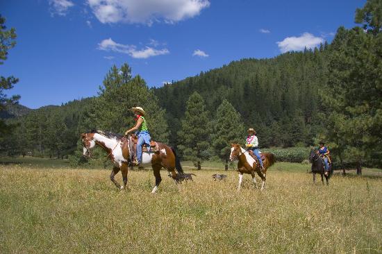 horseback-riding-in-ruidoso.jpg
