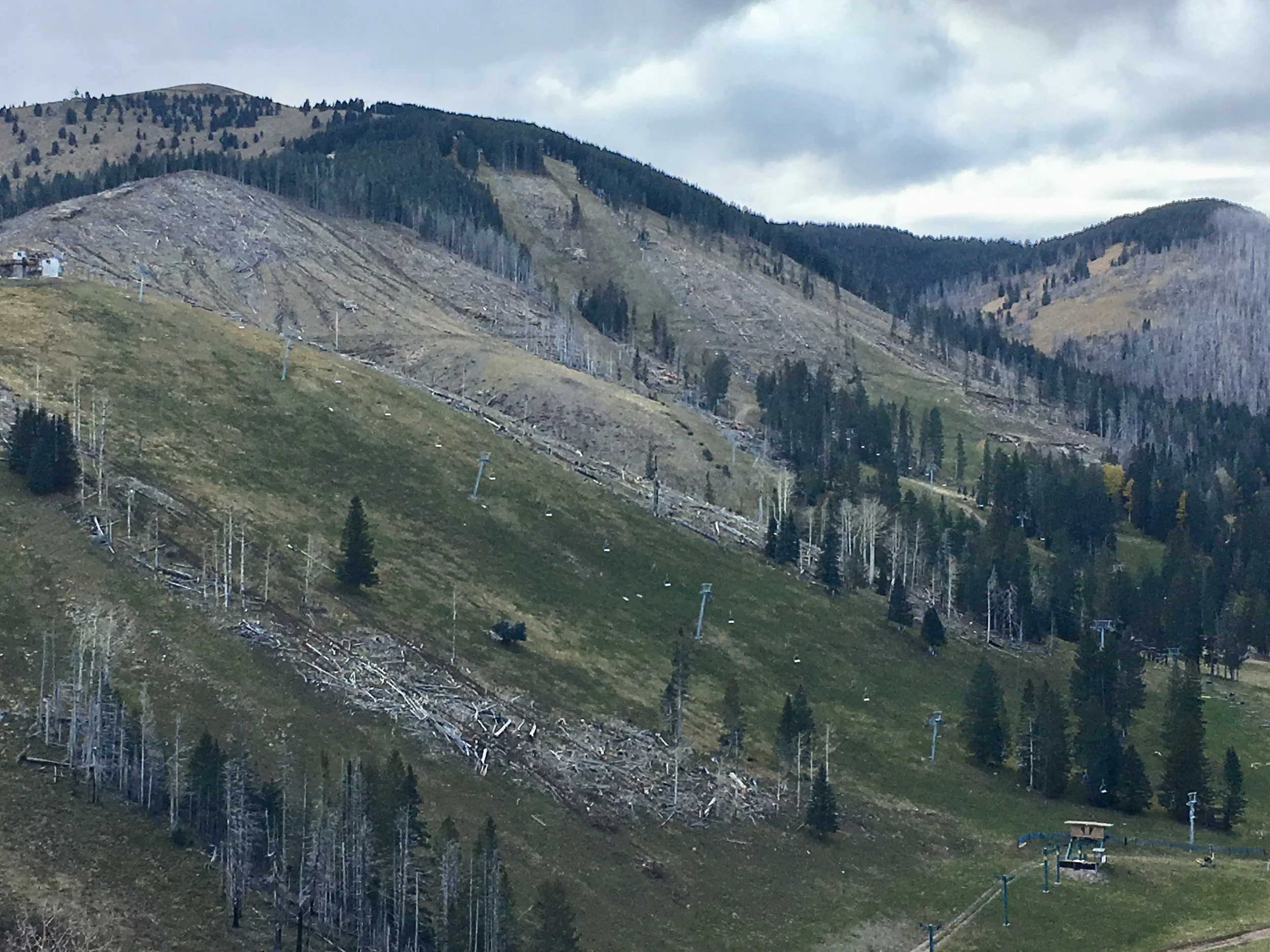 Lincoln National Forest Partners with Mescalero Apache on Restoration