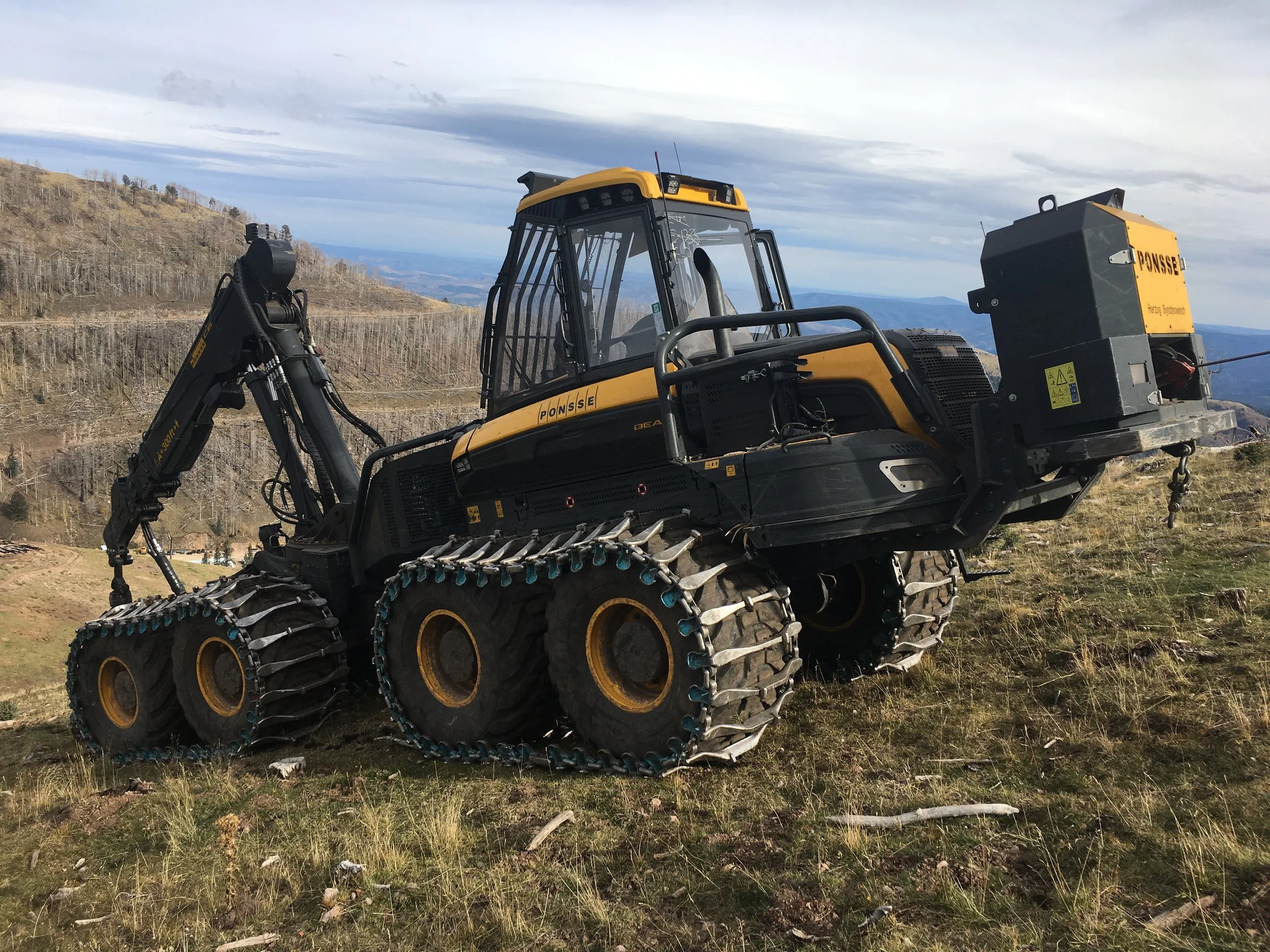 Lincoln National Forest Partners with Mescalero Apache on Restoration
