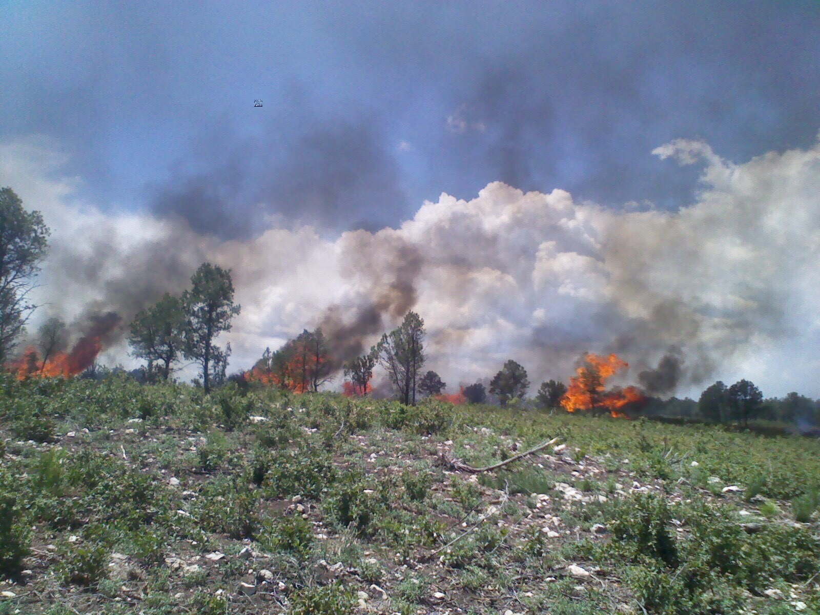 The Lincoln National Forest will work to burn slash piles resulting from fuel reduction projects. Hand piles are a result of using chainsaws to thin the forest. Much of the smaller cut material is piled for burning. Machine piles are the result of using logging equipment and consist of primarily the limbs of trees as most of the logs have already been removed.
